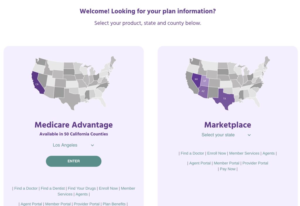 A mass of tiny links with no organization